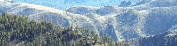ridgeline1.webp