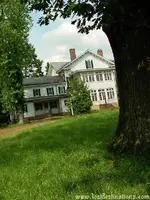 gul044.webp