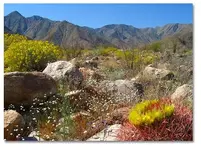 Henderson-Canyon.webp