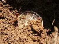 DSCF0321 (2).webp