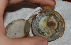 watch2.webp