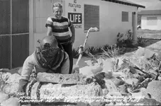 mckee museum8.webp