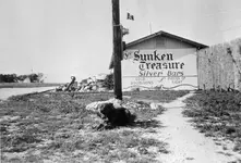 mckee museum9.webp