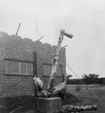 mckee museum6.webp