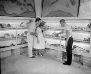 new mckee museum2.webp