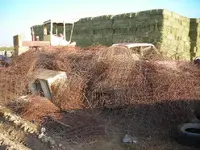 DSCN3904.webp