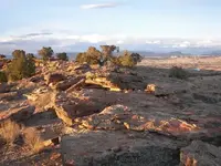 quail_site_093-A.webp