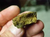 P4270016.webp