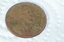 100e1014penny3.webp