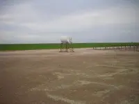 DSCN3855.webp