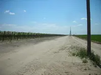 DSCN3858.webp