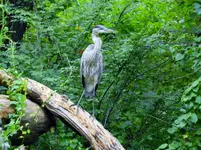 K1600_DSCN0370.webp