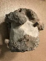 ImageUploadedByTreasureNet.com1537663529.907451.webp
