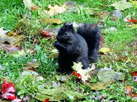 K1600_DSCN1332_InPixio.webp