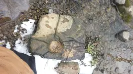 20130223_143804.webp
