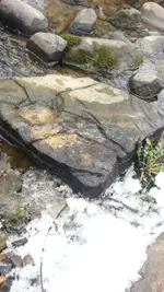 20130223_143826.webp