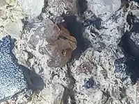 20181128_064434.webp