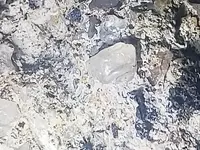 20181128_064349.webp