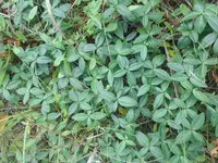 2018-10-9-025516.webp