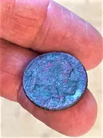 cleaned coin.webp