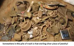 7 silvers from the median 023.webp