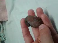20180922_210146.webp