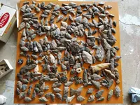 arrowheads.webp