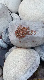 20181019_161001.webp