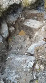 20181019_154900.webp