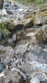 20181019_154849.webp