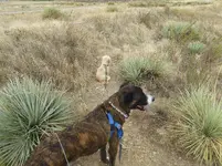 walk 093018 6.webp