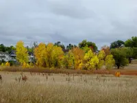 walk 101018 1.webp