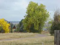 walk 101018 5.webp