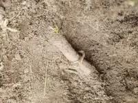 20181010_103250.webp