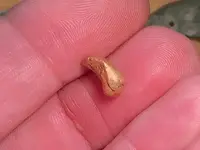 Gold tooth.webp