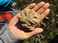 20181106_154846.webp