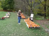 IMG_0047.webp IMG_0047.webp