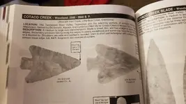 20181116_222231.webp