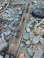 20181010_131351.webp