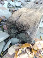 20181010_131357.webp