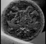 lyre button.webp