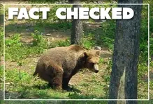 factchecked.webp factchecked.webp