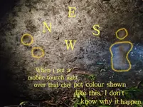 20181129_185451.webp