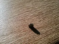 20181117_110952.webp