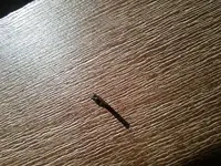 20181117_111100.webp