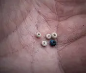 beads.webp
