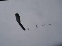 20181117_113318.webp