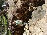 20180610_131347.webp