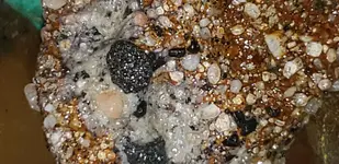 20181011_014056.webp