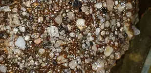 20181011_013804.webp